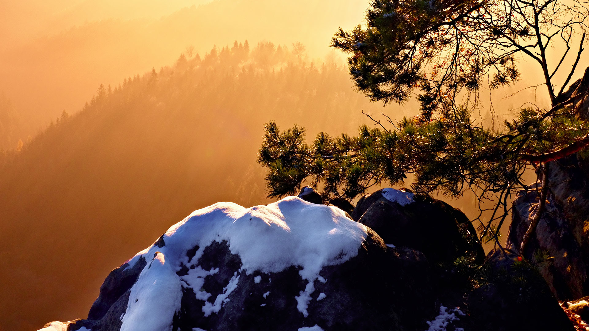 Fourth Quarter Accounting and Financial Reporting Developments