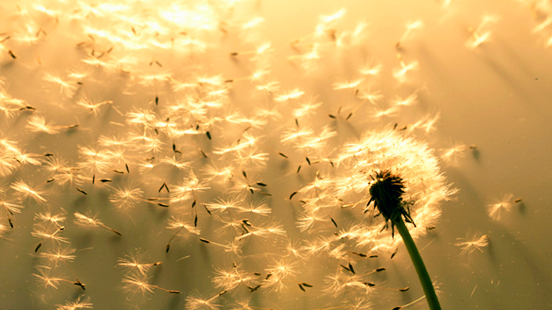 4th quarter report 2017