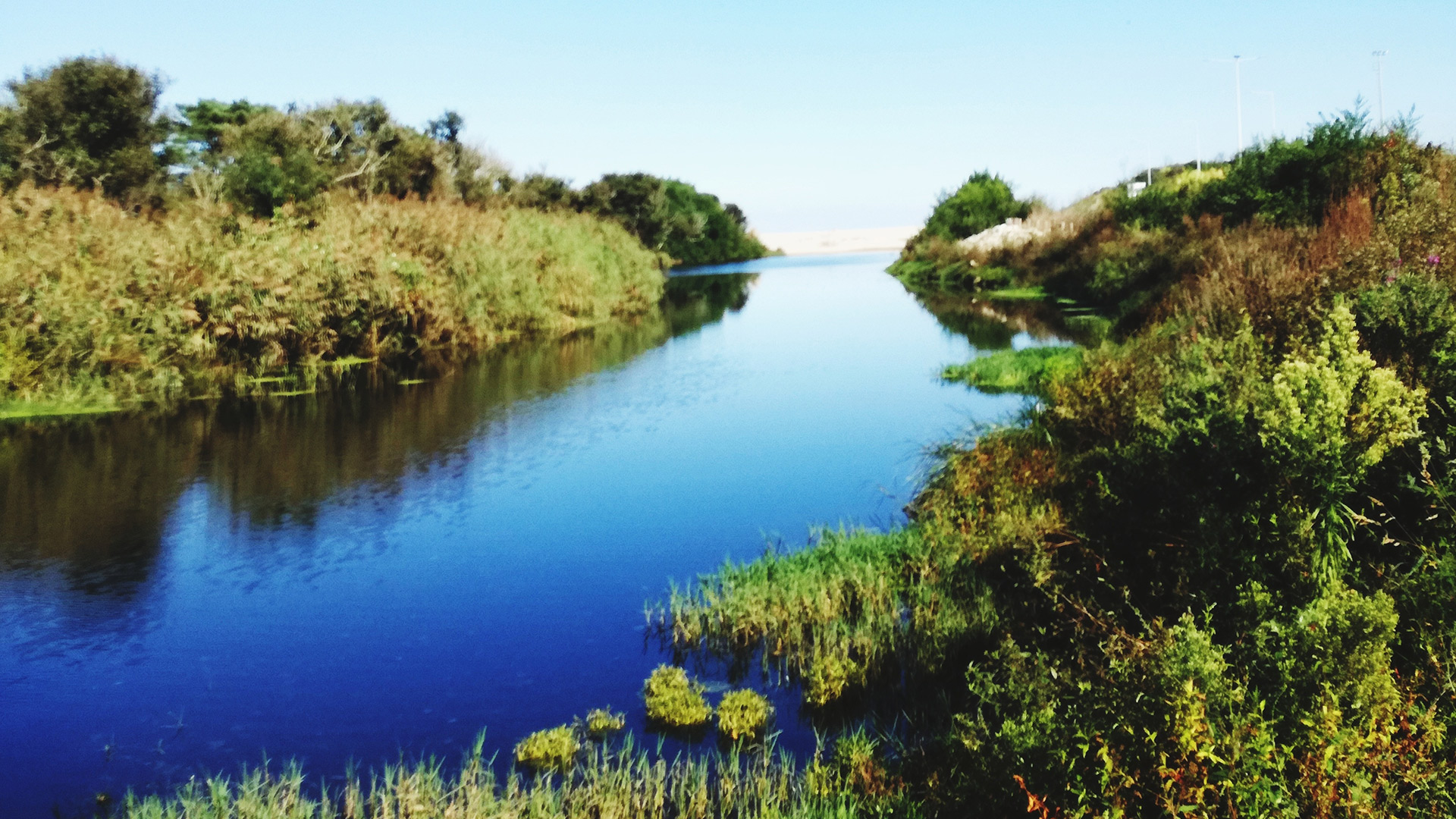 Second Quarter Accounting and Financial Reporting Developments