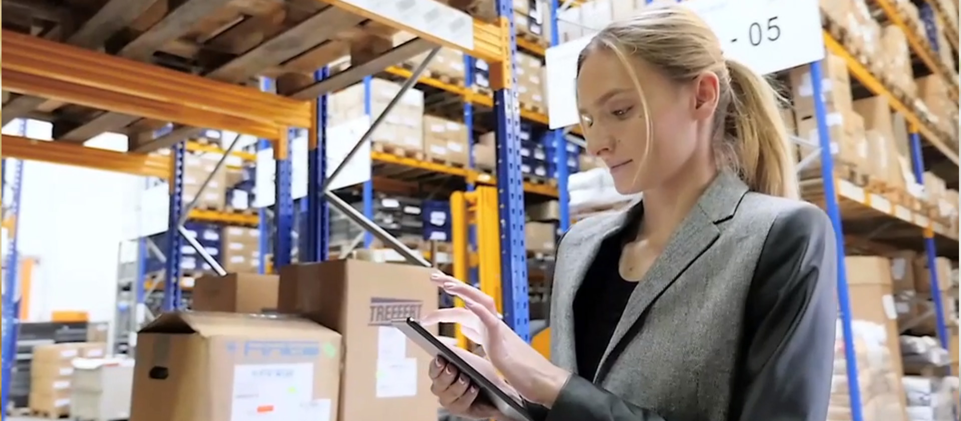 Crowe Analysis Platform for audit value