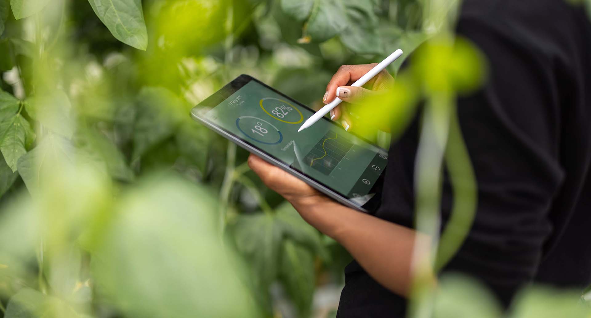 Crowe Launches ESG Center of Excellence 