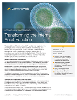 TransformingTheInternalAuditFunction_MD-16003-016A-LG