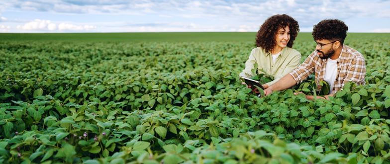 Two professionals review crop data on a tablet in a field, representing agriculture expertise and farm-to-table operations.
