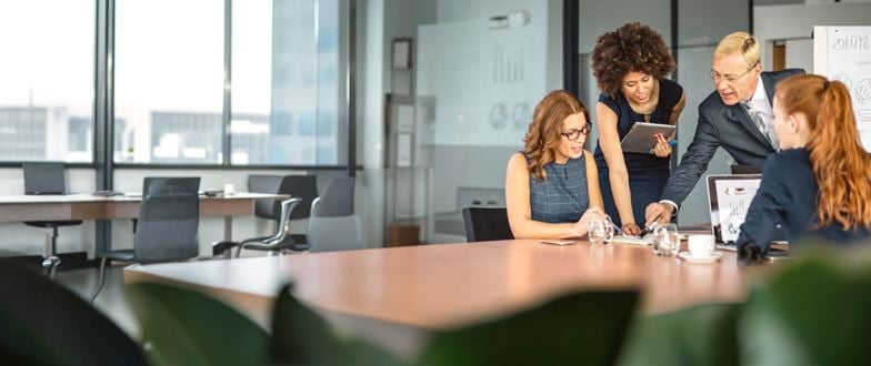 Team of professionals collaborates to develop value realization strategies for a private equity portfolio company.