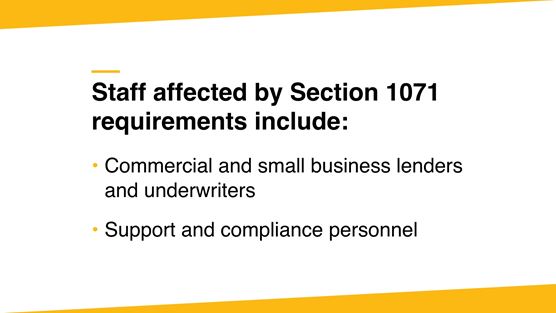 Prepare to meet Section 1071 data collection requirements | Crowe LLP