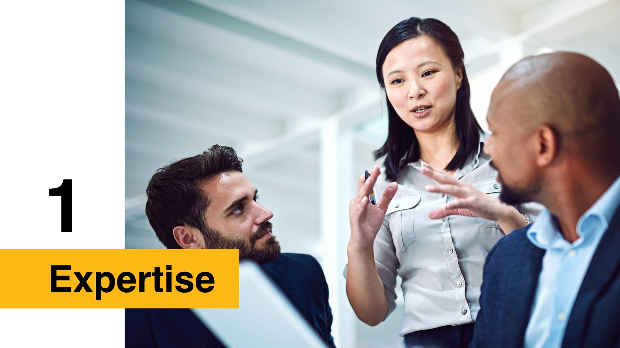 Does your team provide the subject-matter expertise we need? - Expertise