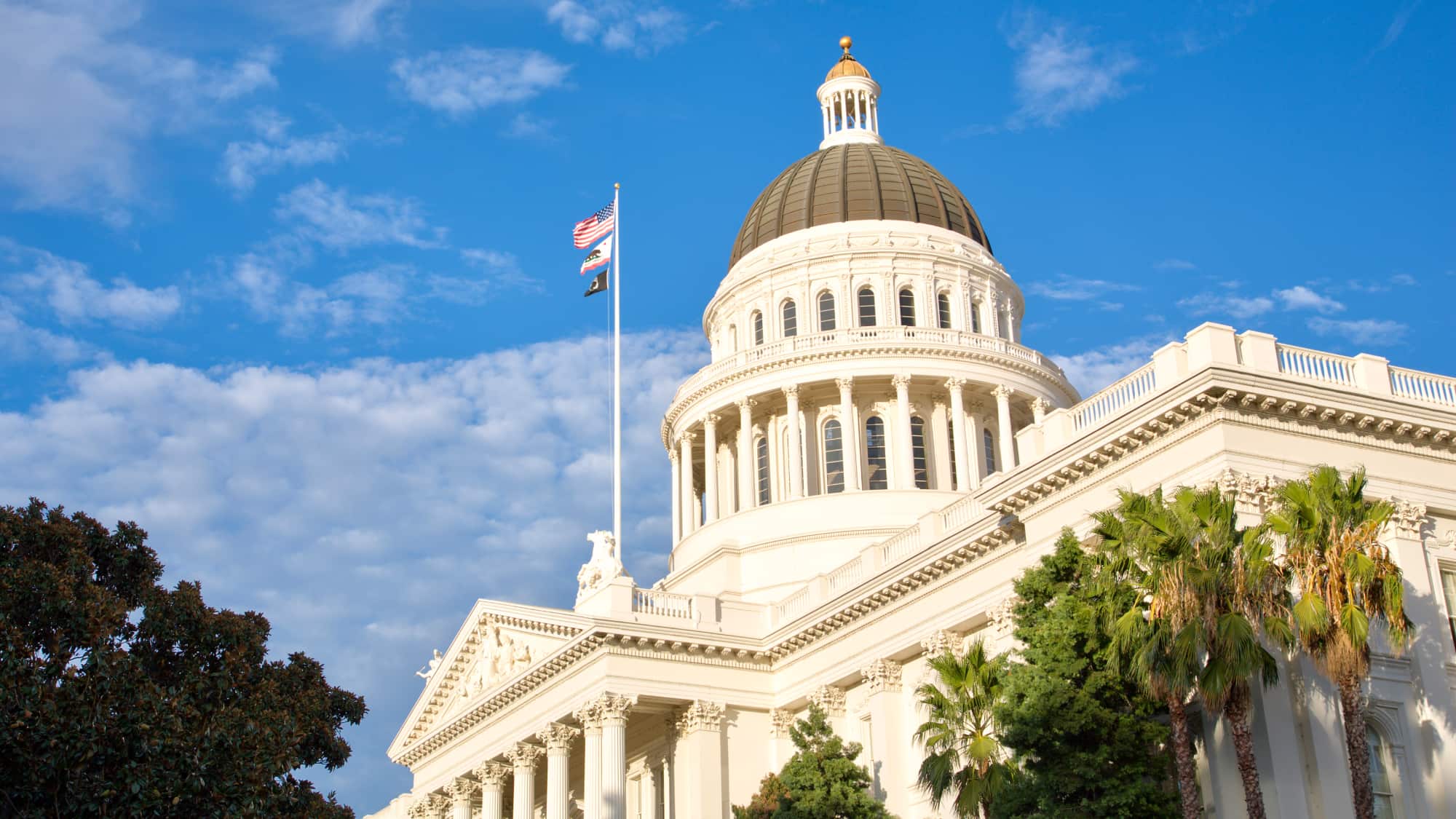 California issued new apportionment rules for certain asset management revenue, potentially changing who is required to file a California return. 