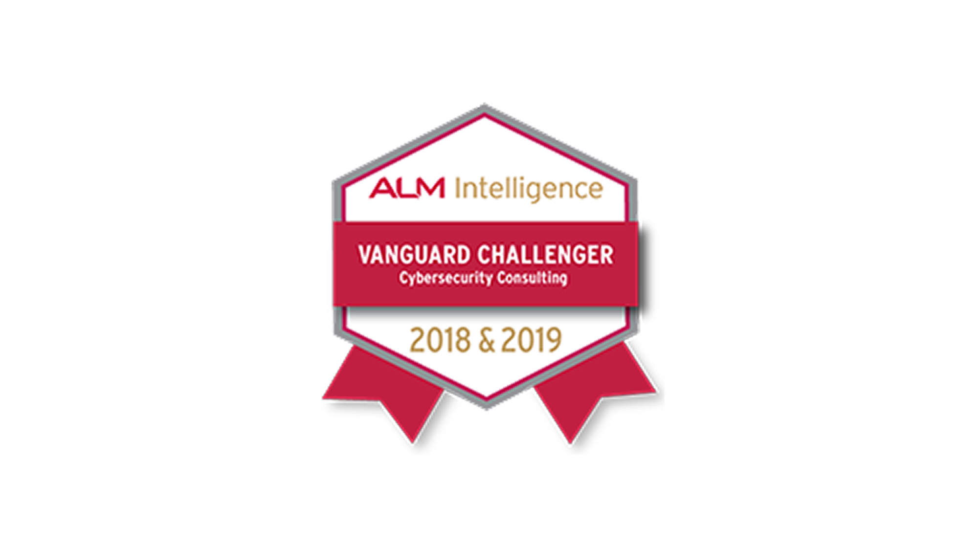 2018 2019 Vanguard Challenger Cybersecurity and Consulting