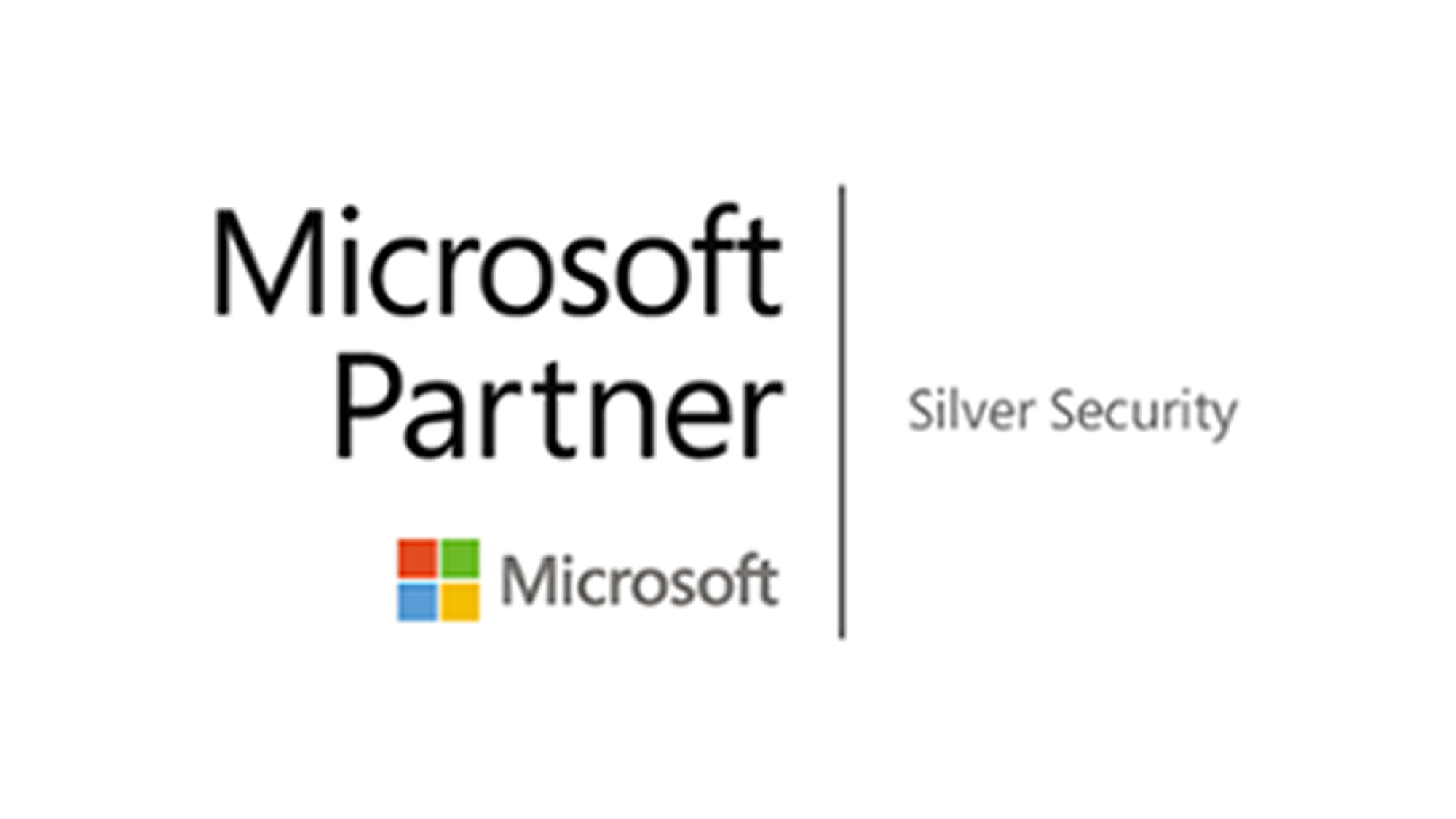 Silver Security Microsoft Partner