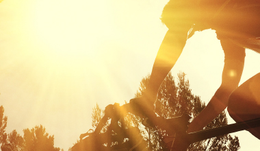 Portfolio Analyzer for Sureties_Spotlight