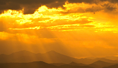 Working Capital Study