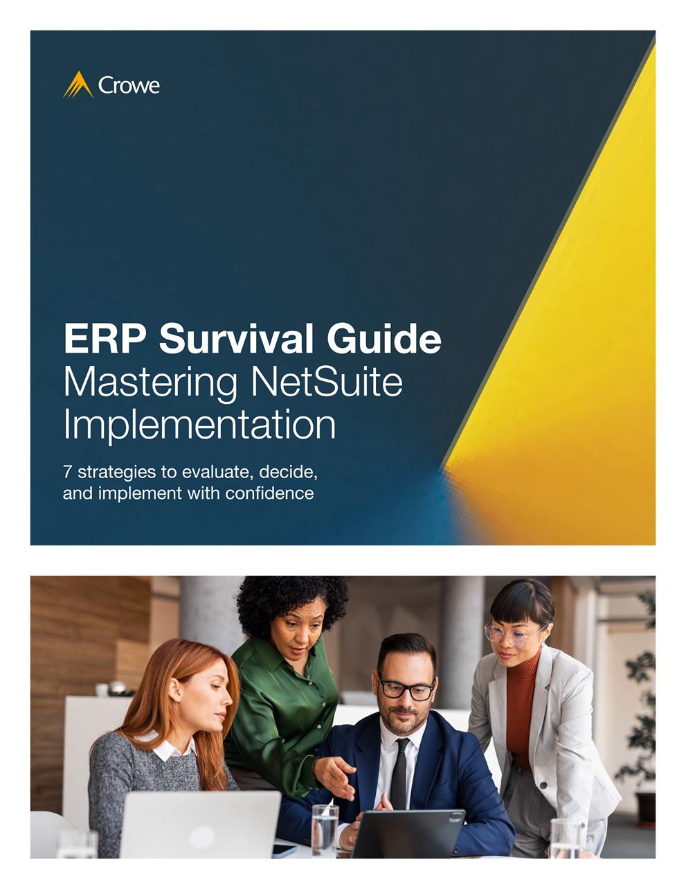 NetSuite ERP Survival Guide