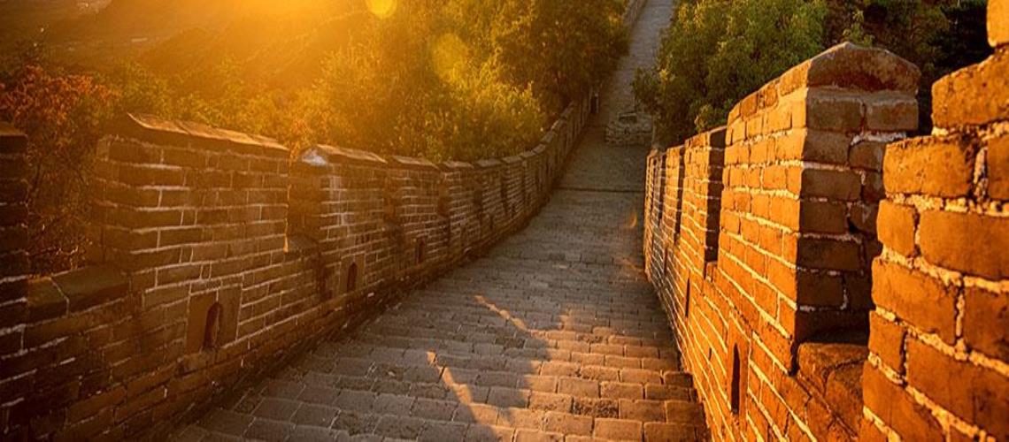 Technology and Telecommunication