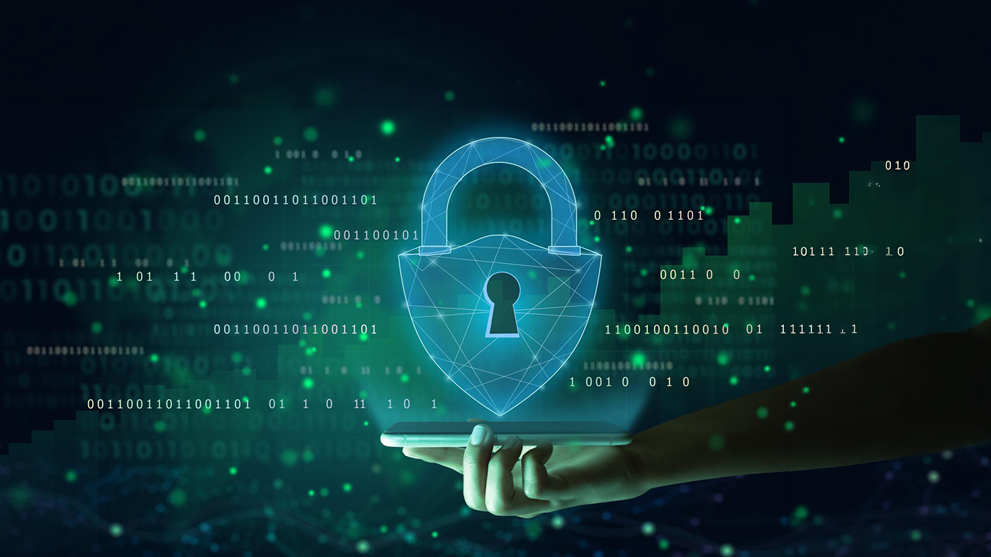 Data Privacy vs Cybersecurity