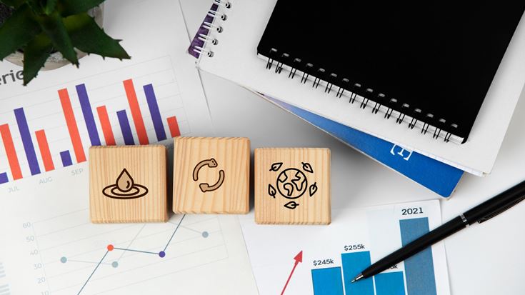 COSO Framework and Financial Reporting Risks