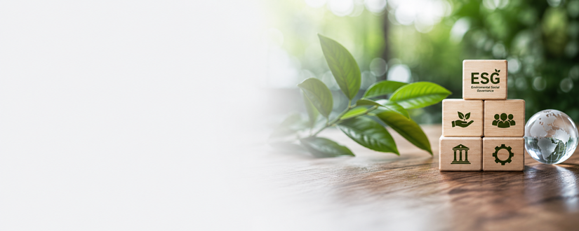 Environment, Social & Corporate Governance (ESG) CROWE UAE