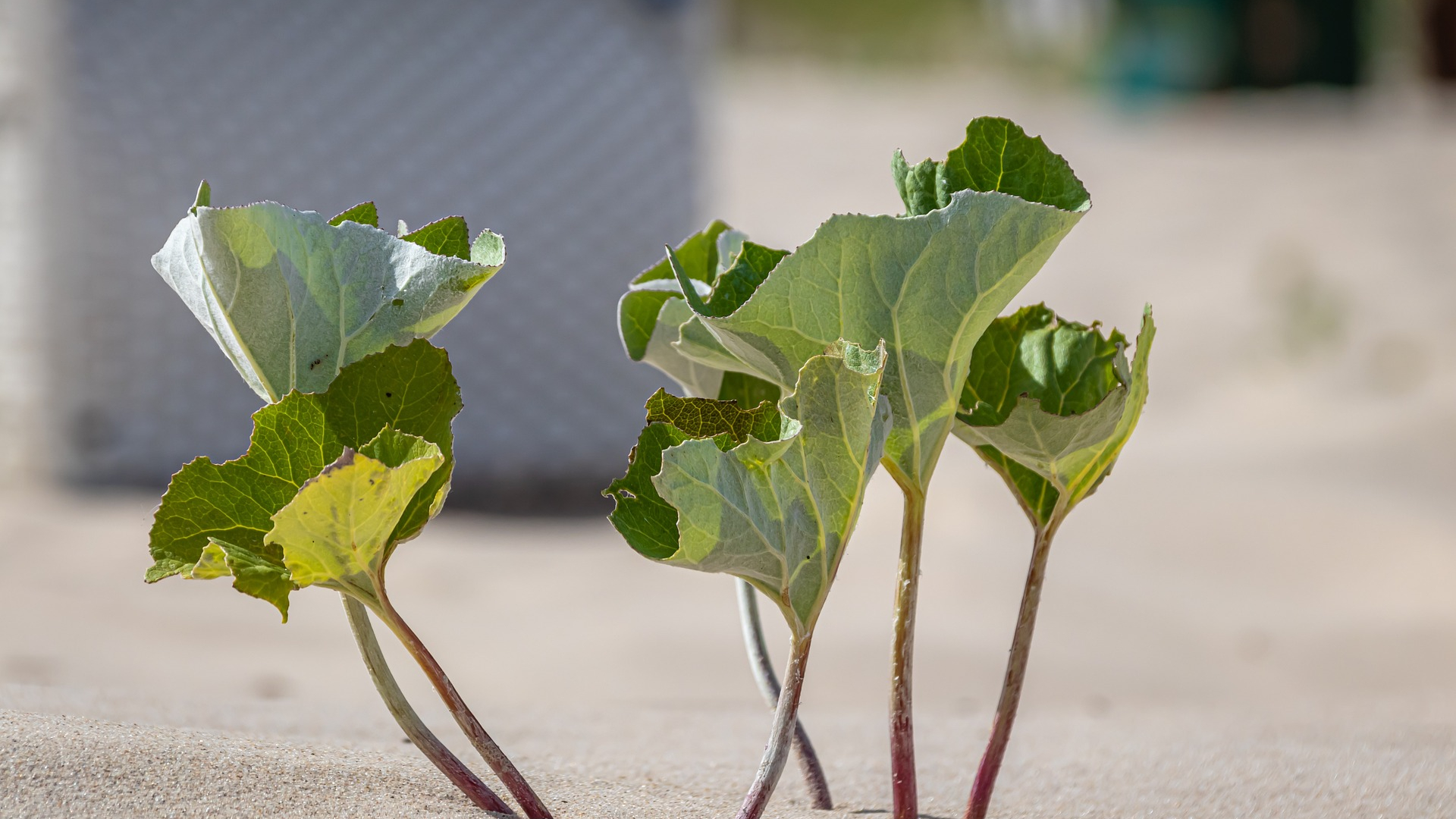 Building a Resilient Future