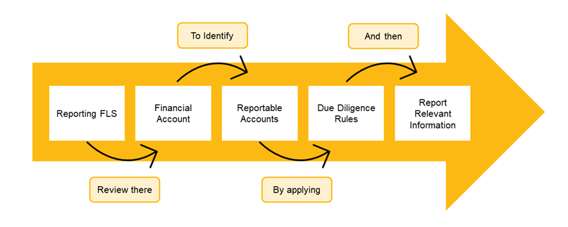Process of Common Reporting Standards