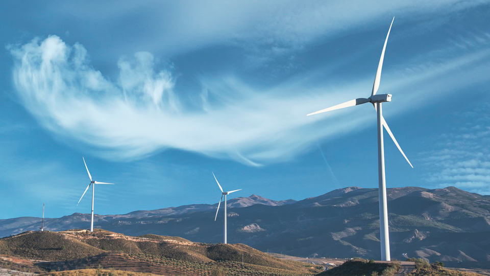 Unlocking the Future of Your Organization