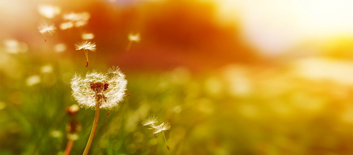 Telehealth An Emerging Technology Solution In Healthcare