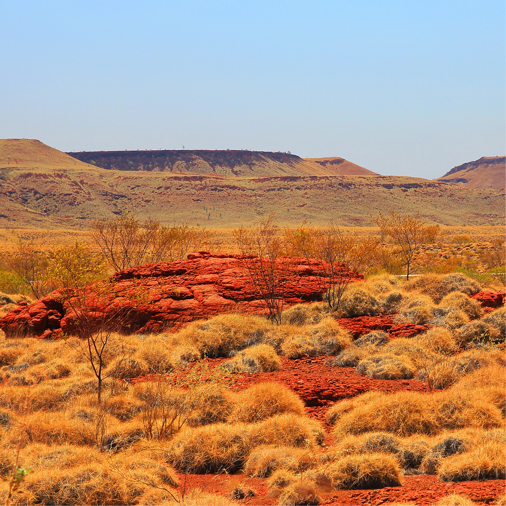Australian outback