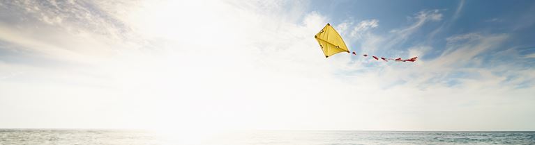 Kite on beach