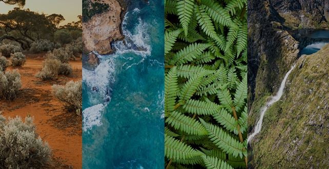 Sustainability
