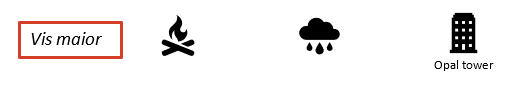 vis maior