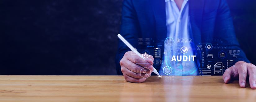 Audit and assurance crowe bh 2
