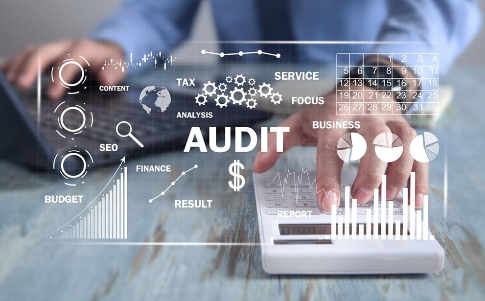 What Does an Auditor Actually Do