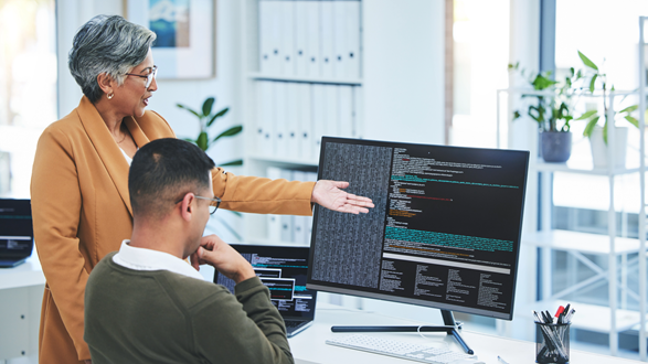 Cyber Security Consulting Team