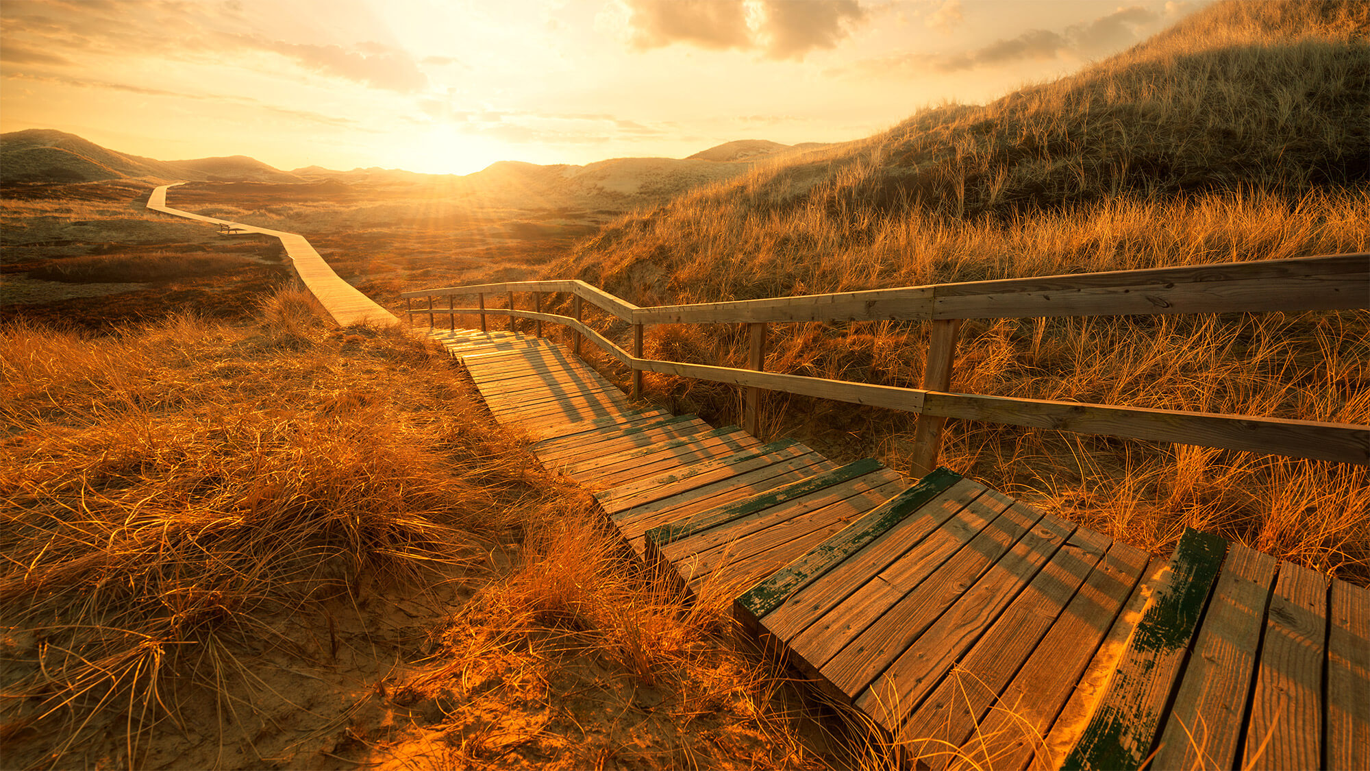 Sanction du projet de loi n°42 et nouvelle obligation de divulguer les contrats de prête-nom