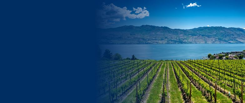 Crowe Kelowna Office