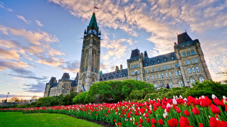 Federal Budget Commentary 2019 - Introduction