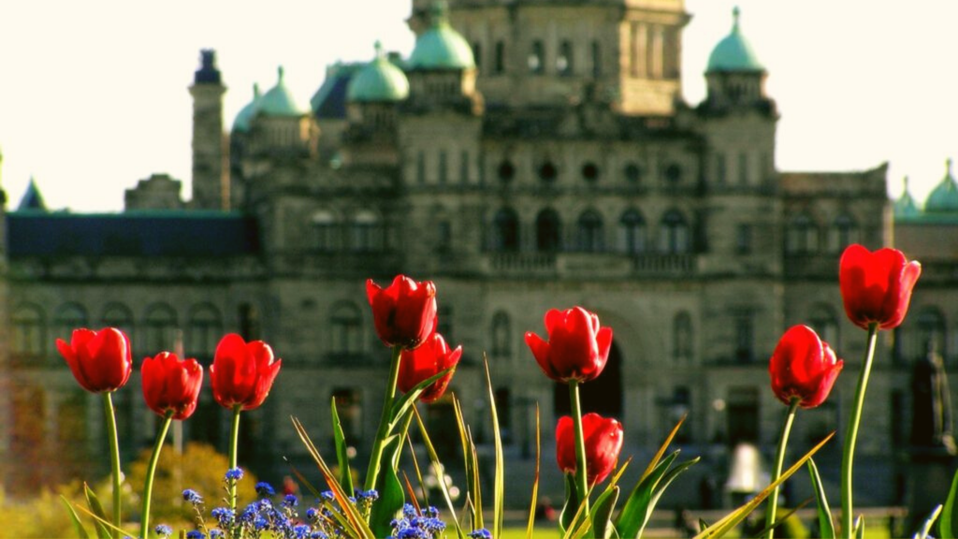 British Columbia Budget Summary 2020