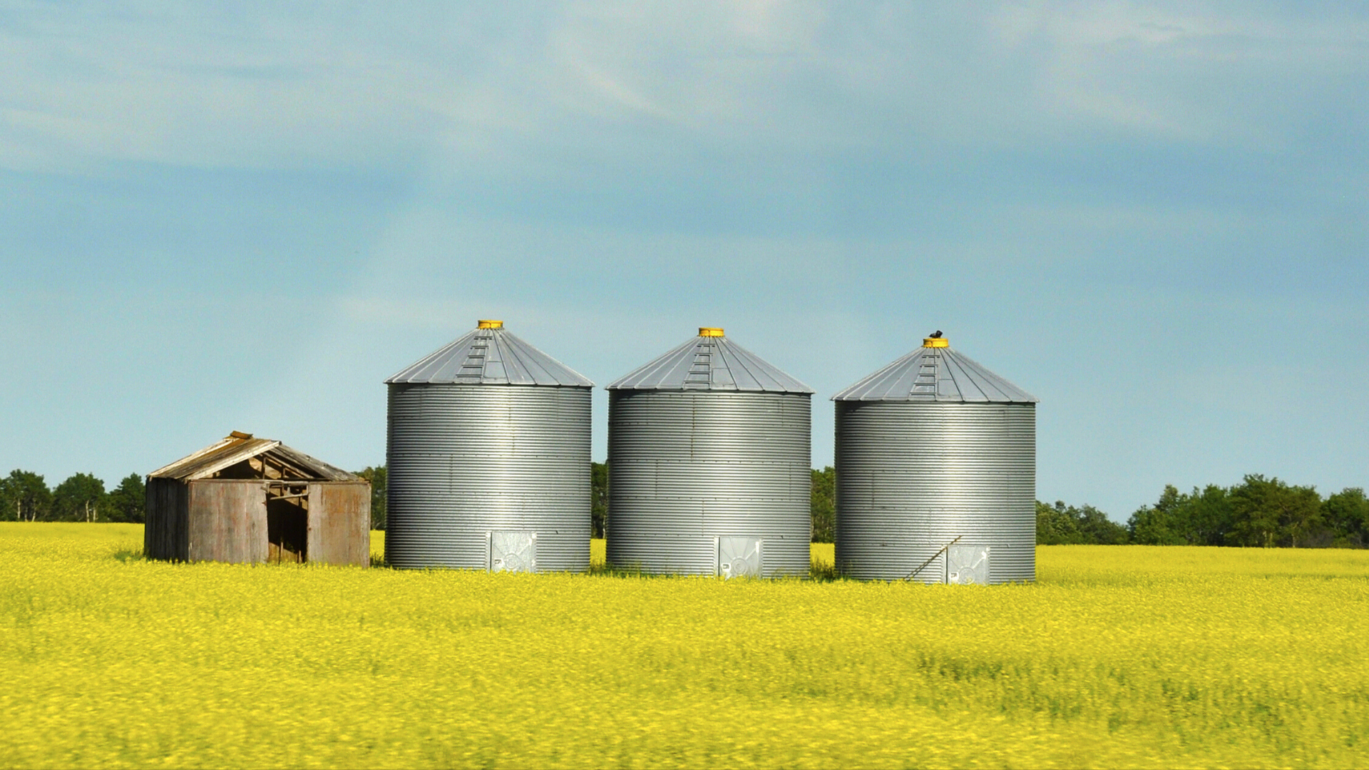 Saskatchewan’s COVID-19 Provincial Response