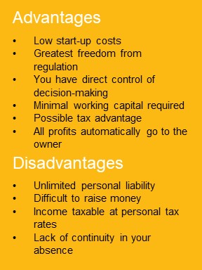 Advantages Disadvantages of Sole Proprietorships