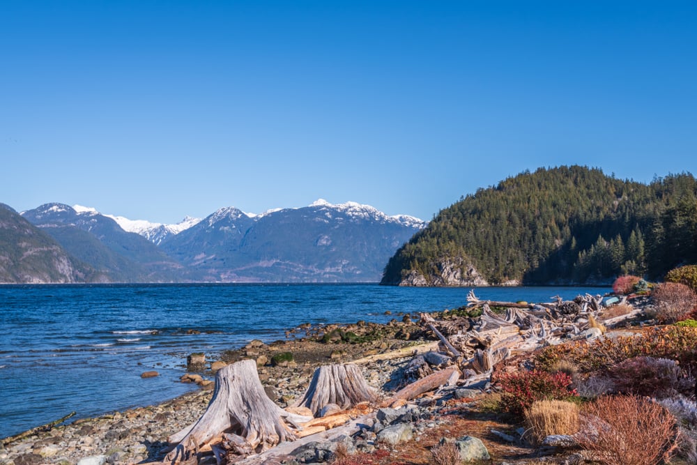 Who Will Know If I File for Bankruptcy