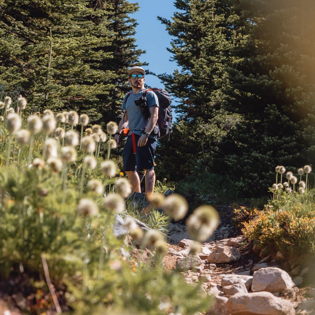 Devon Huber Mountains Dandelions