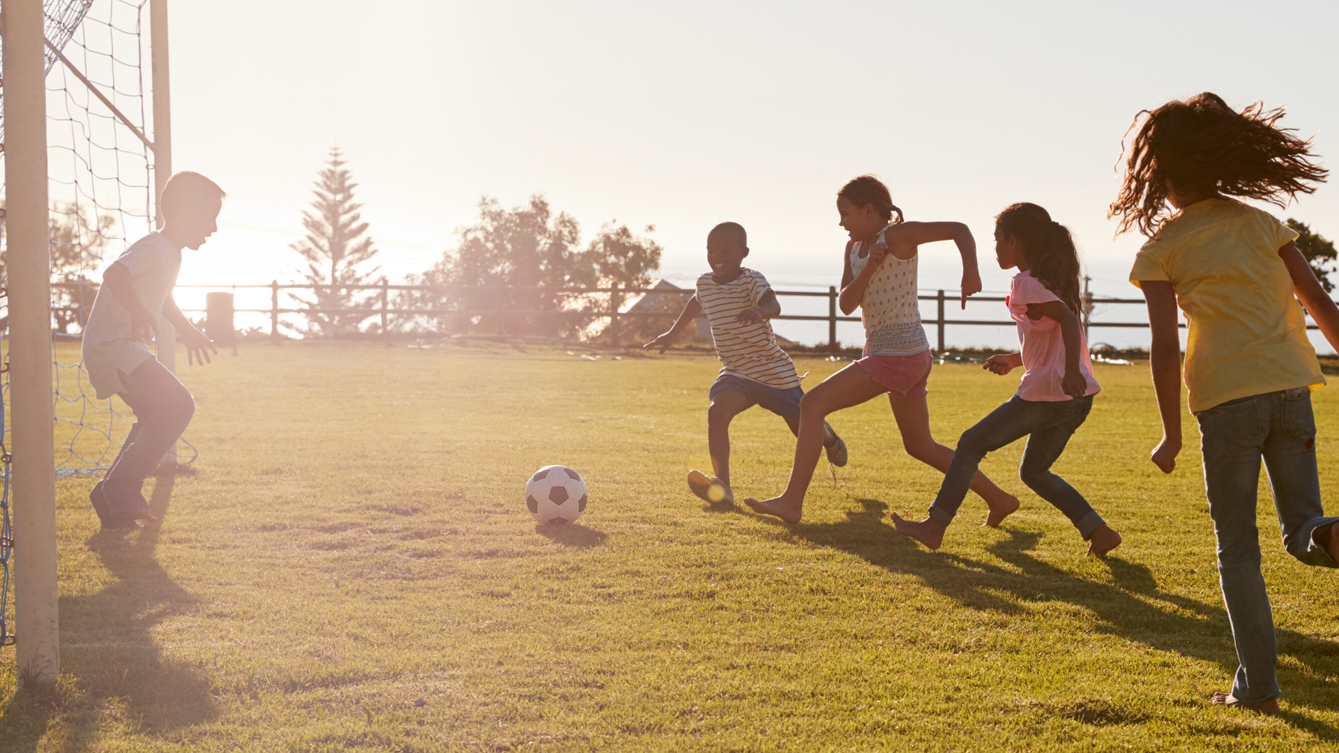 Provincial Territorial Reopening Plans