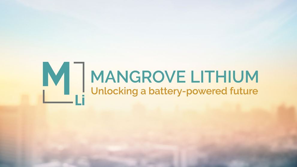 Logo - Mangrove Lithium