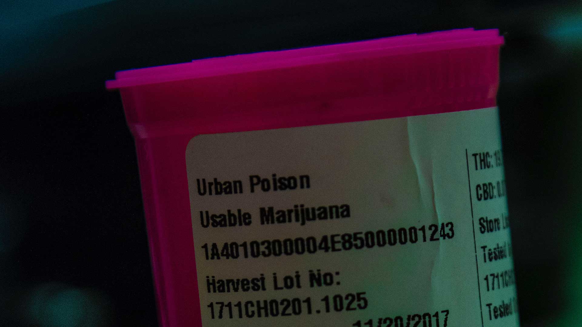 Cannabis in the Workplace