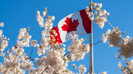 Spring Economic Update 2026