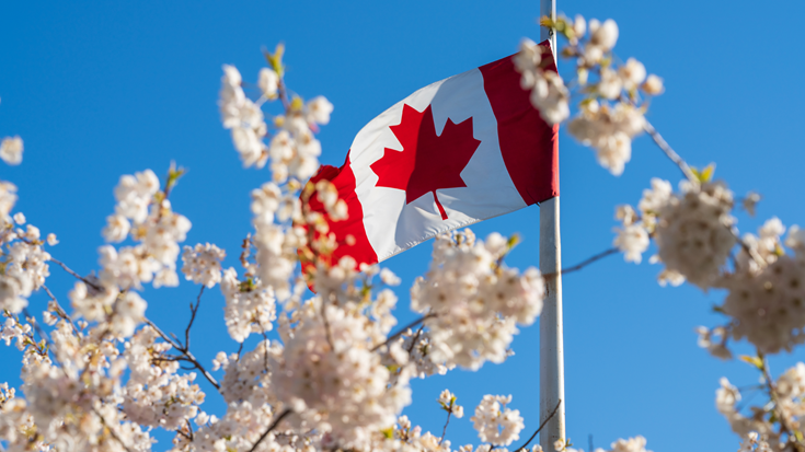 Spring Economic Update 2026