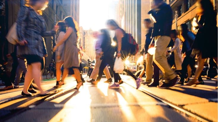 Professionals and Business Owners