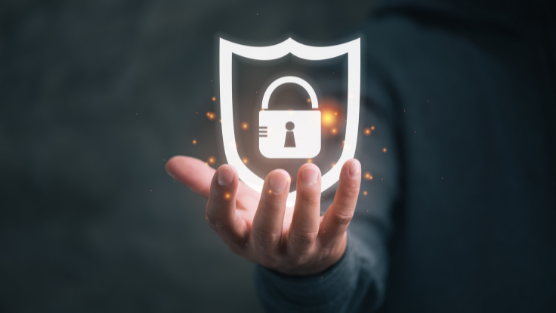 consultoria-en-seguridad-de-la-informacion