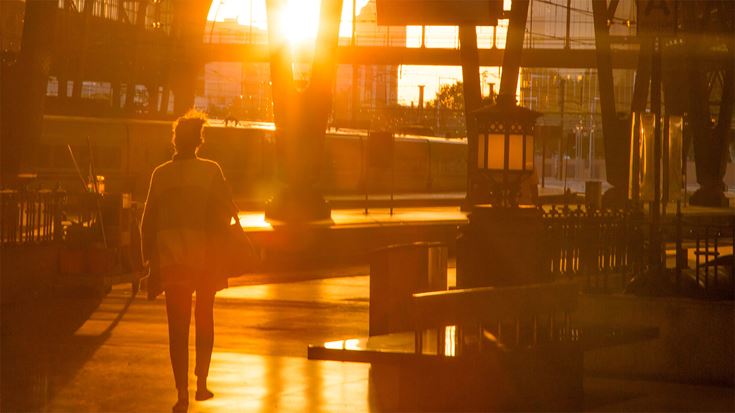 Accounting obligations