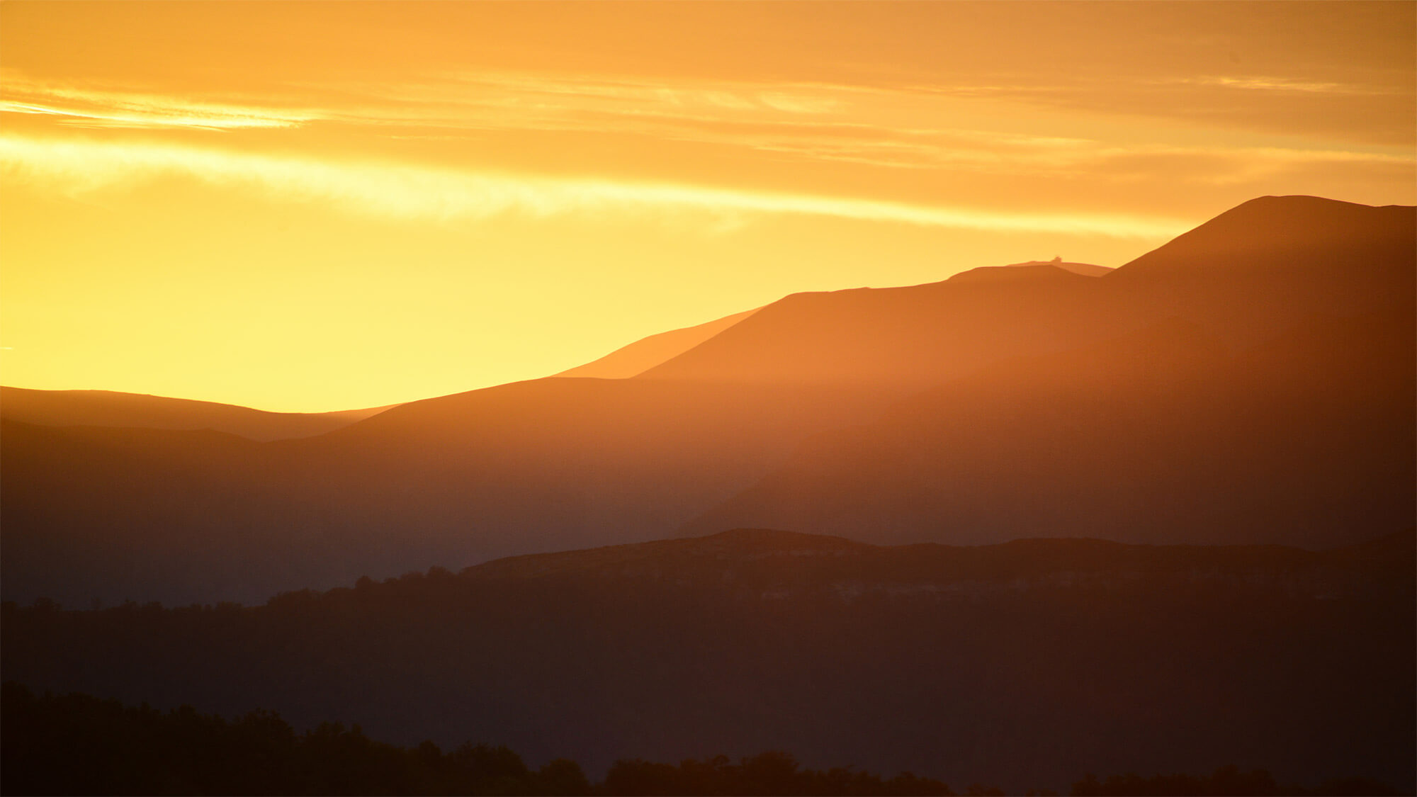 Webinar: Doing business in „CzechoSlovakia“ – issues relating to VAT, permanent establishment and travel reimbursements 