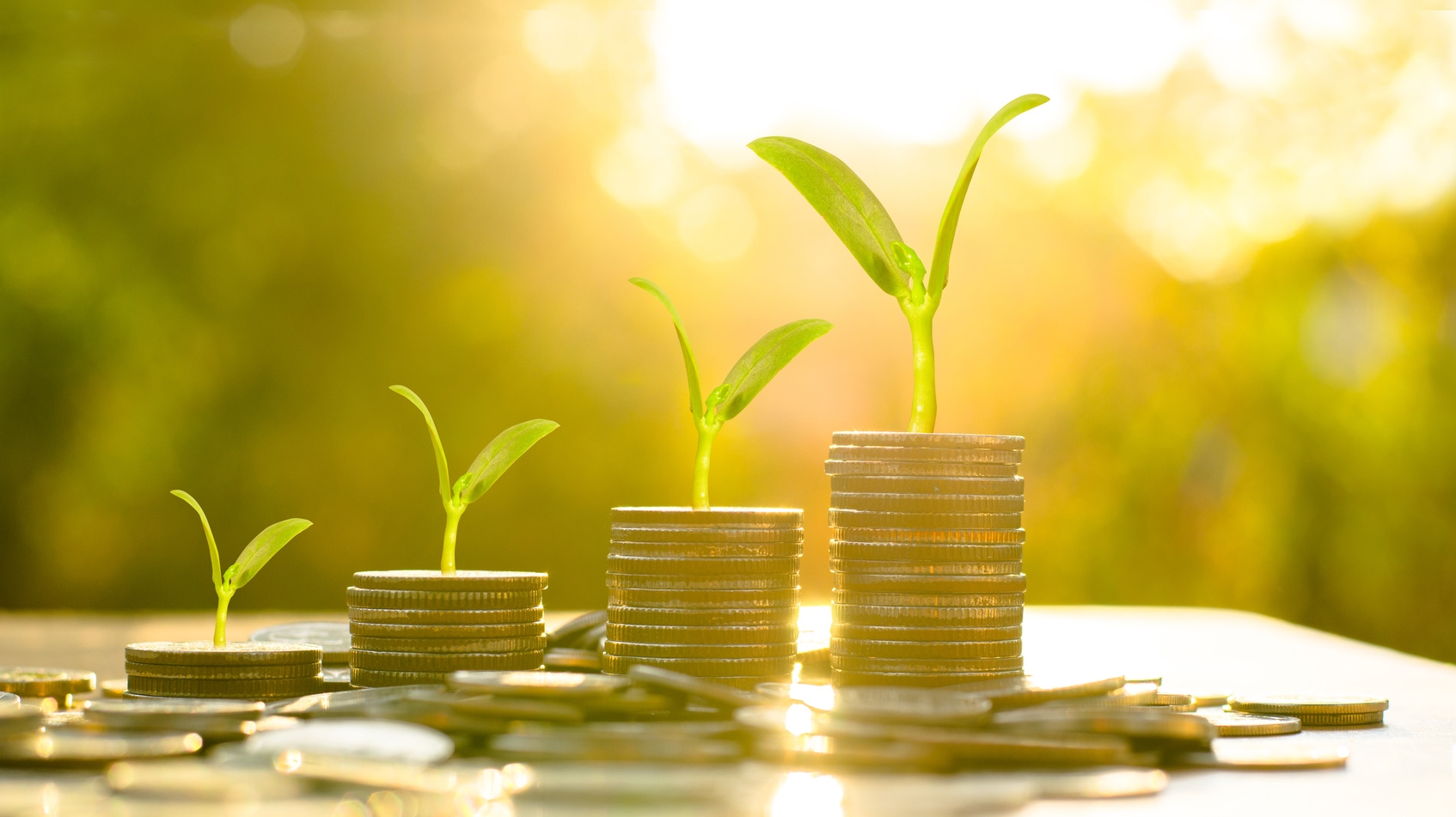 monedas apiladas con plantas que crecen encima
