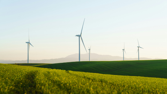 Cara y Cruz de la sentencia dictada por le TJUE.